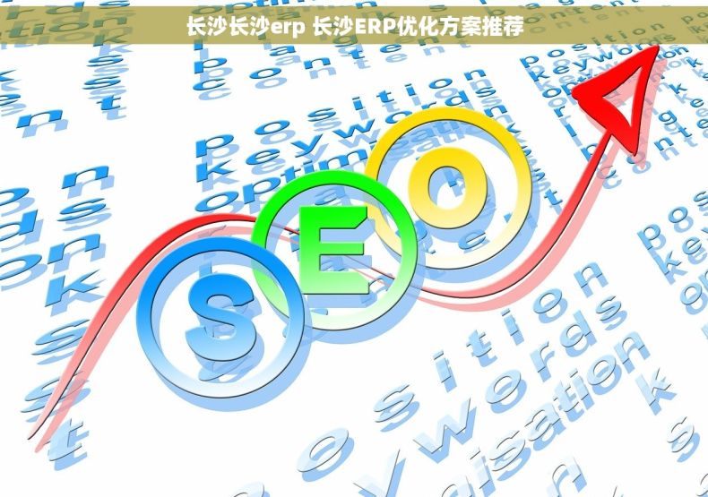 长沙长沙erp 长沙ERP优化方案推荐
