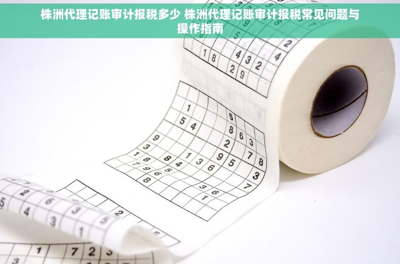 株洲代理记账审计报税多少 株洲代理记账审计报税常见问题与操作指南