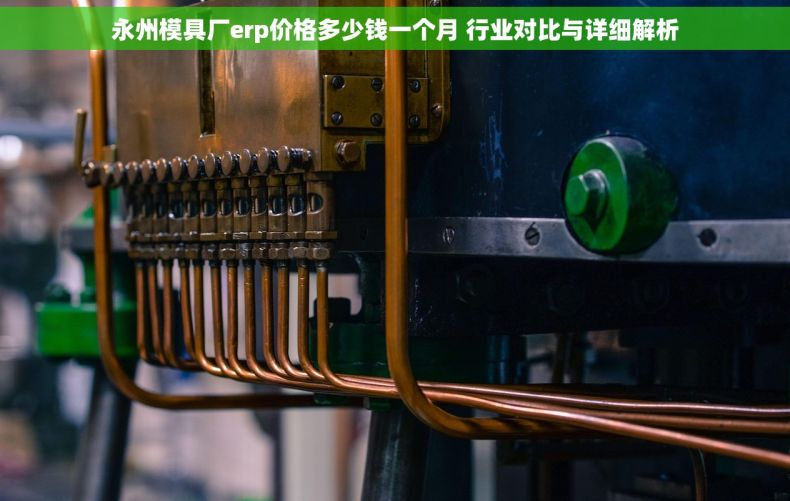 永州模具厂erp价格多少钱一个月 行业对比与详细解析
