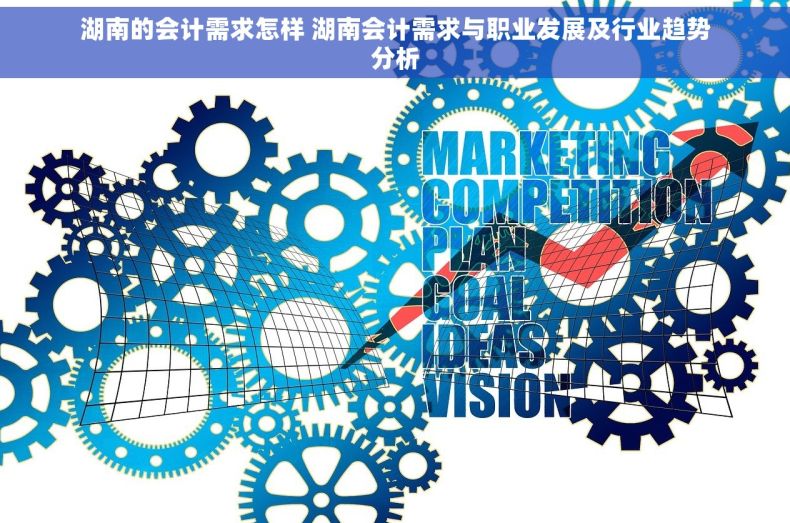 湖南的会计需求怎样 湖南会计需求与职业发展及行业趋势分析