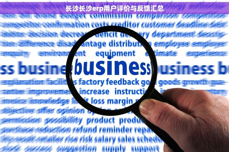 长沙长沙erp用户评价与反馈汇总