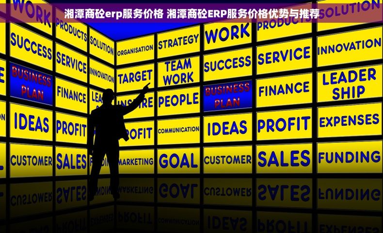 湘潭商砼erp服务价格 湘潭商砼ERP服务价格优势与推荐