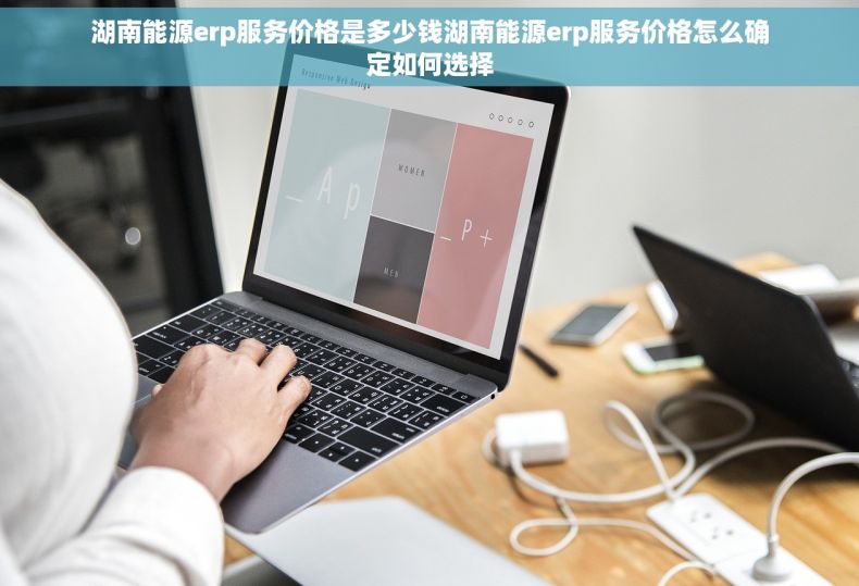 湖南能源erp服务价格是多少钱湖南能源erp服务价格怎么确定如何选择