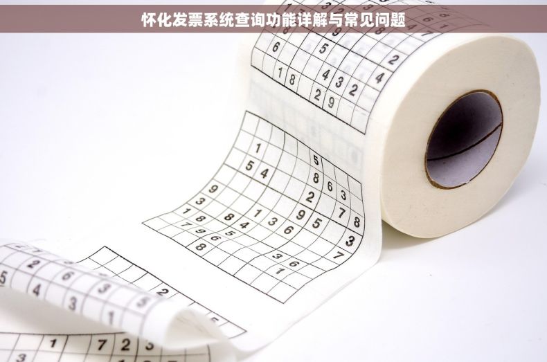怀化发票系统查询功能详解与常见问题