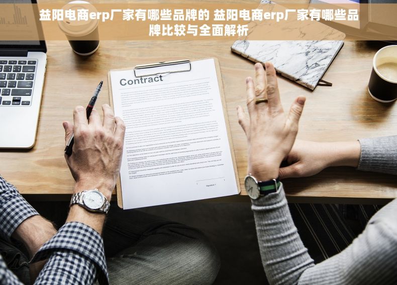益阳电商erp厂家有哪些品牌的 益阳电商erp厂家有哪些品牌比较与全面解析