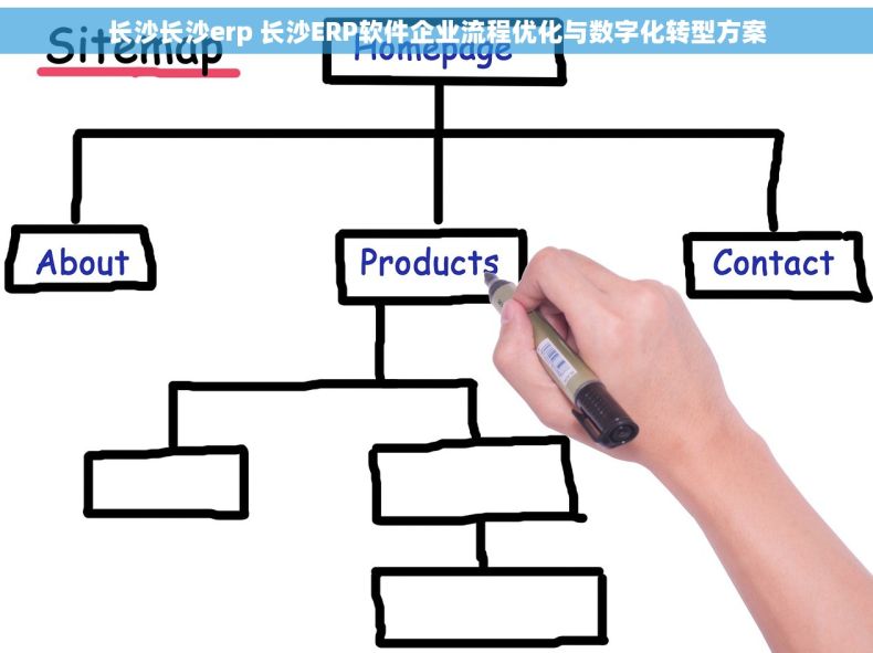 长沙长沙erp 长沙ERP软件企业流程优化与数字化转型方案