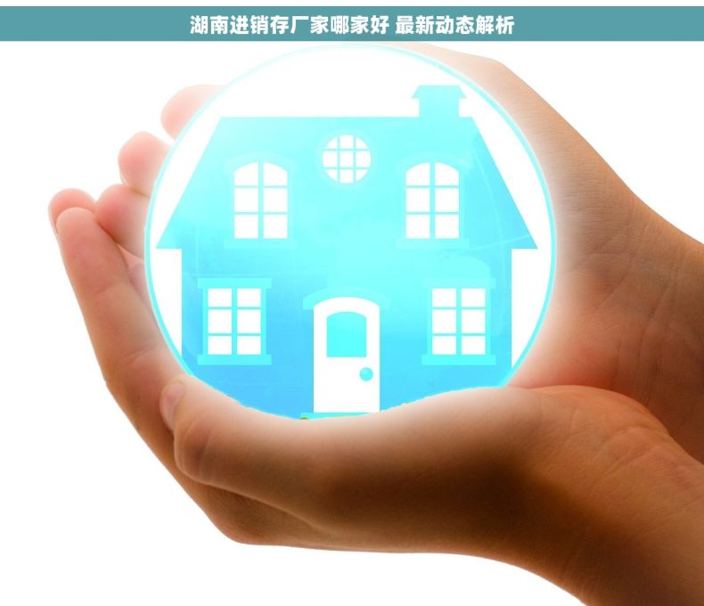 湖南进销存厂家哪家好 最新动态解析