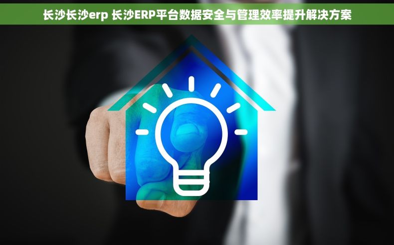 长沙长沙erp 长沙ERP平台数据安全与管理效率提升解决方案