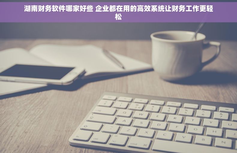 湖南财务软件哪家好些 企业都在用的高效系统让财务工作更轻松