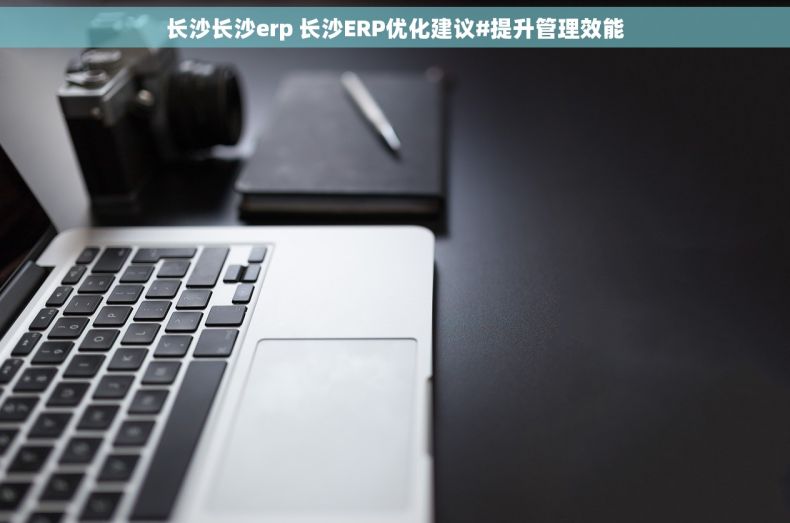 长沙长沙erp 长沙ERP优化建议#提升管理效能