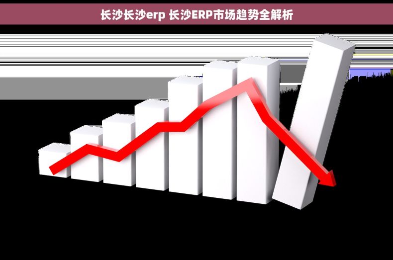 长沙长沙erp 长沙ERP市场趋势全解析