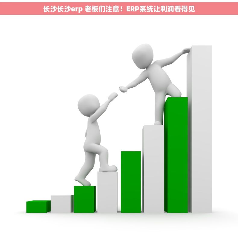 长沙长沙erp 老板们注意！ERP系统让利润看得见