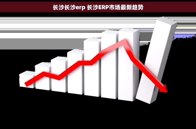 长沙长沙erp 长沙ERP市场最新趋势