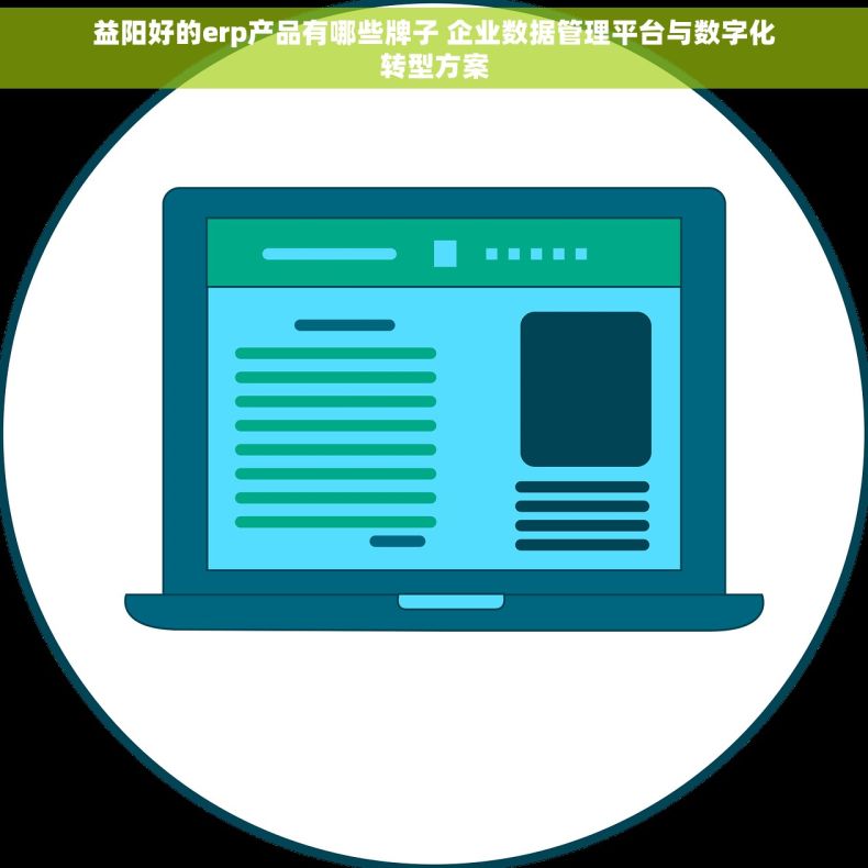 益阳好的erp产品有哪些牌子 企业数据管理平台与数字化转型方案