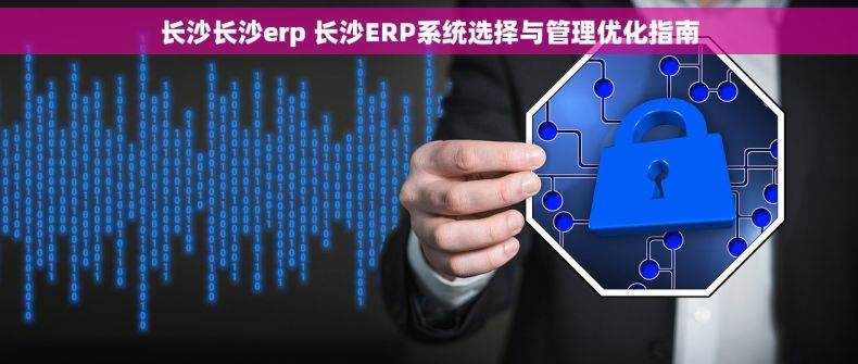 长沙长沙erp 长沙ERP系统选择与管理优化指南