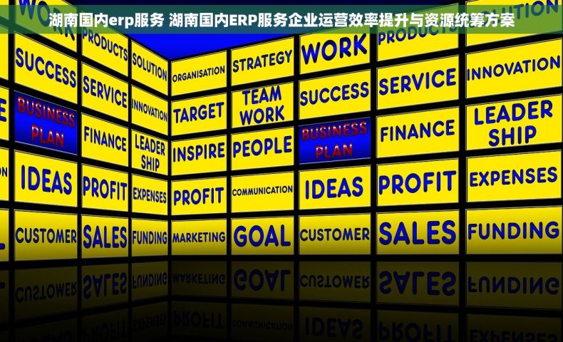 湖南国内erp服务 湖南国内ERP服务企业运营效率提升与资源统筹方案