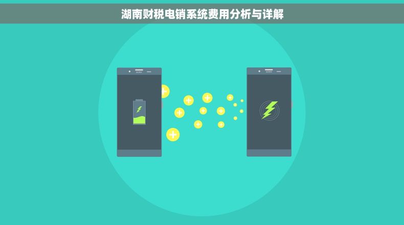 湖南财税电销系统费用分析与详解