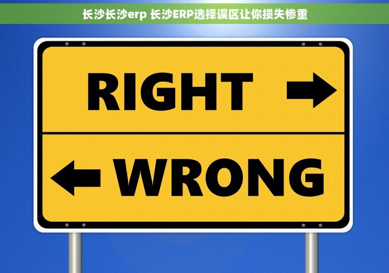 长沙长沙erp 长沙ERP选择误区让你损失惨重
