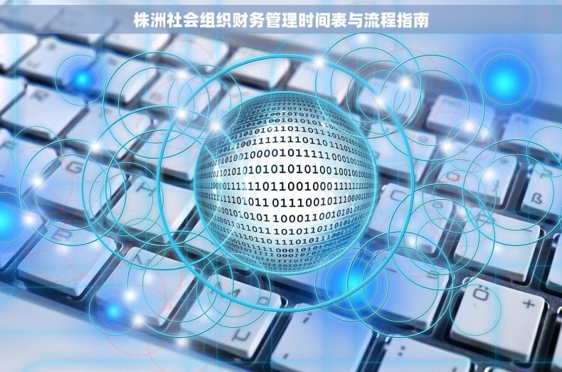 株洲社会组织财务管理时间表与流程指南
