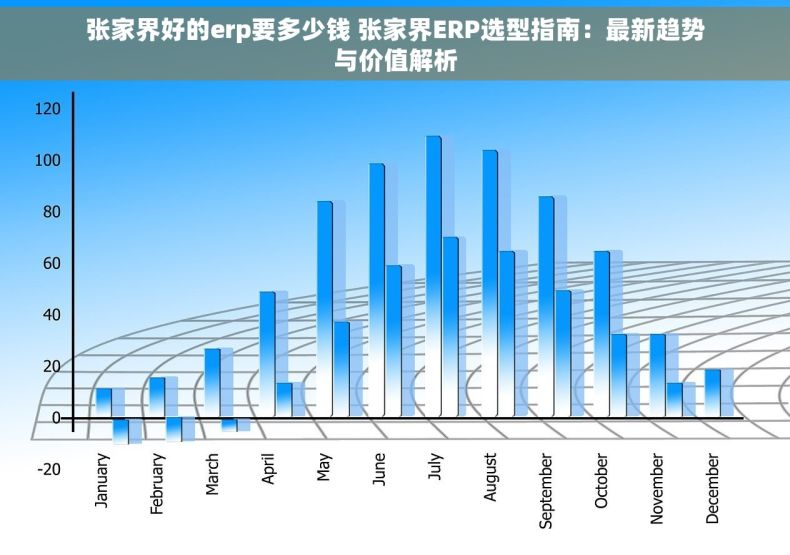 张家界好的erp要多少钱 张家界ERP选型指南：最新趋势与价值解析