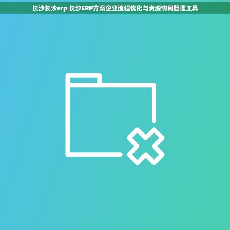 长沙长沙erp 长沙ERP方案企业流程优化与资源协同管理工具
