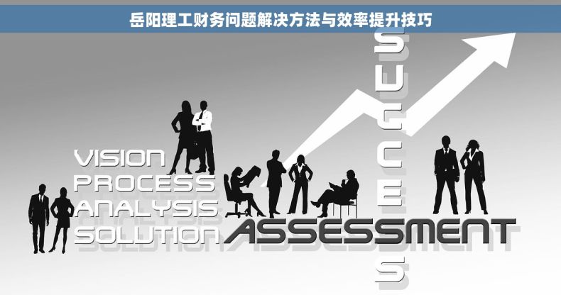 岳阳理工财务问题解决方法与效率提升技巧
