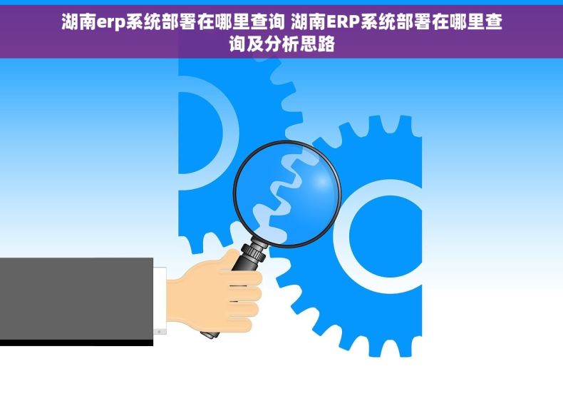 湖南erp系统部署在哪里查询 湖南ERP系统部署在哪里查询及分析思路
