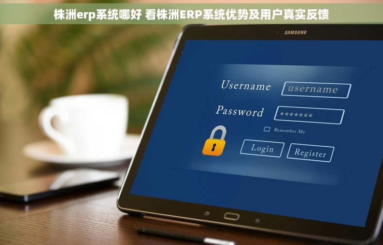 株洲erp系统哪好 看株洲ERP系统优势及用户真实反馈
