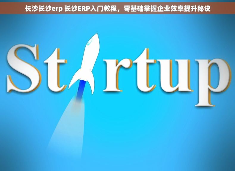 长沙长沙erp 长沙ERP入门教程，零基础掌握企业效率提升秘诀