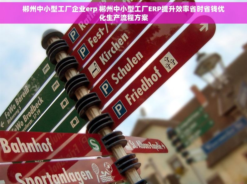 郴州中小型工厂企业erp 郴州中小型工厂ERP提升效率省时省钱优化生产流程方案