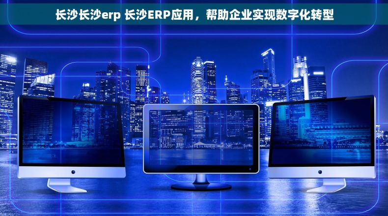 长沙长沙erp 长沙ERP应用，帮助企业实现数字化转型