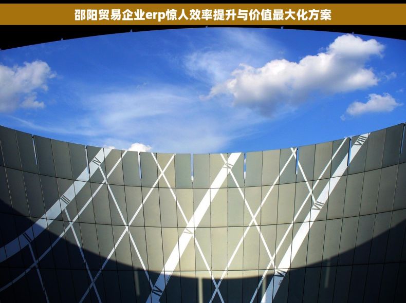 邵阳贸易企业erp惊人效率提升与价值最大化方案