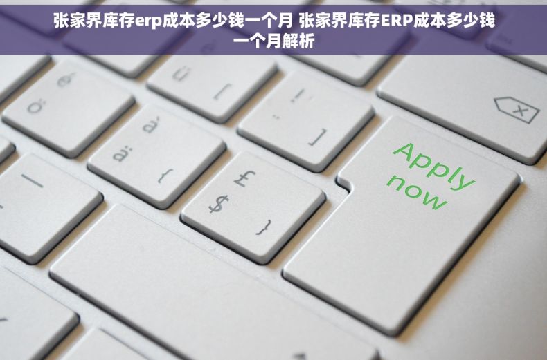张家界库存erp成本多少钱一个月 张家界库存ERP成本多少钱一个月解析