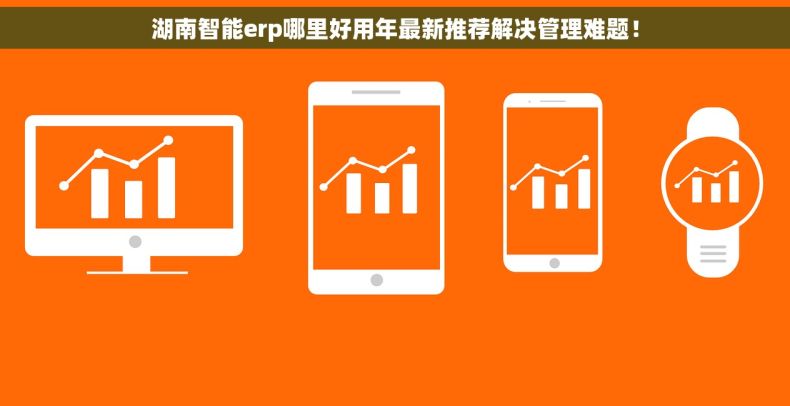 湖南智能erp哪里好用年最新推荐解决管理难题！
