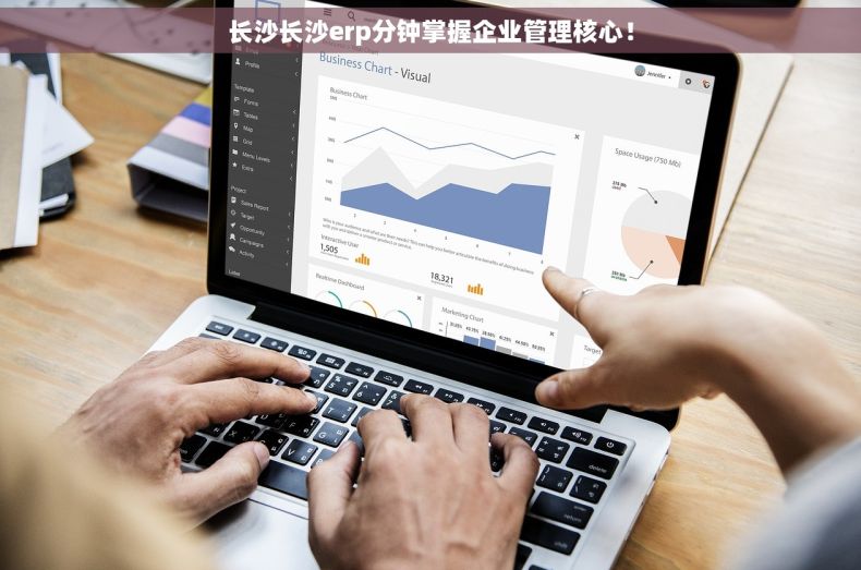长沙长沙erp分钟掌握企业管理核心！