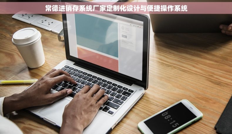 常德进销存系统厂家定制化设计与便捷操作系统
