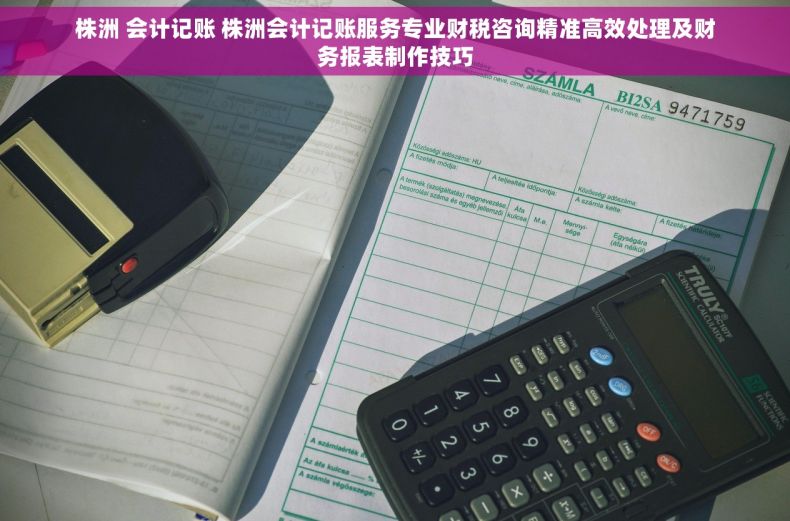 株洲 会计记账 株洲会计记账服务专业财税咨询精准高效处理及财务报表制作技巧