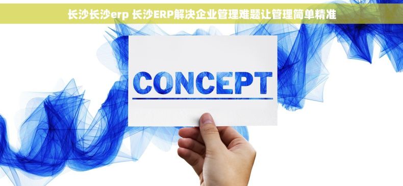 长沙长沙erp 长沙ERP解决企业管理难题让管理简单精准