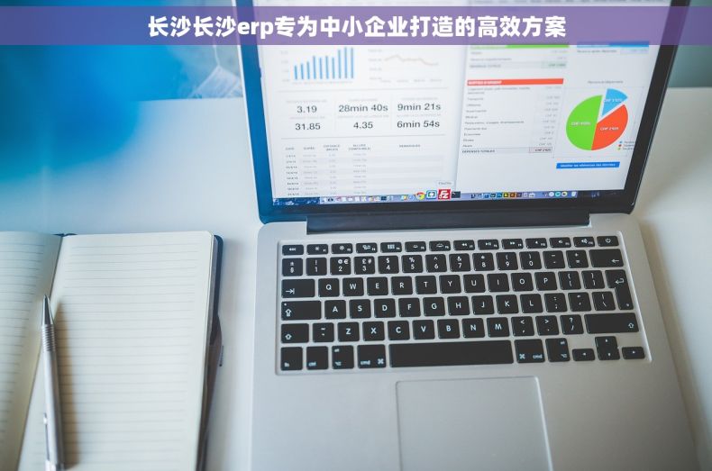 长沙长沙erp专为中小企业打造的高效方案