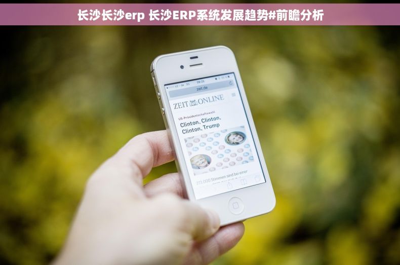 长沙长沙erp 长沙ERP系统发展趋势#前瞻分析