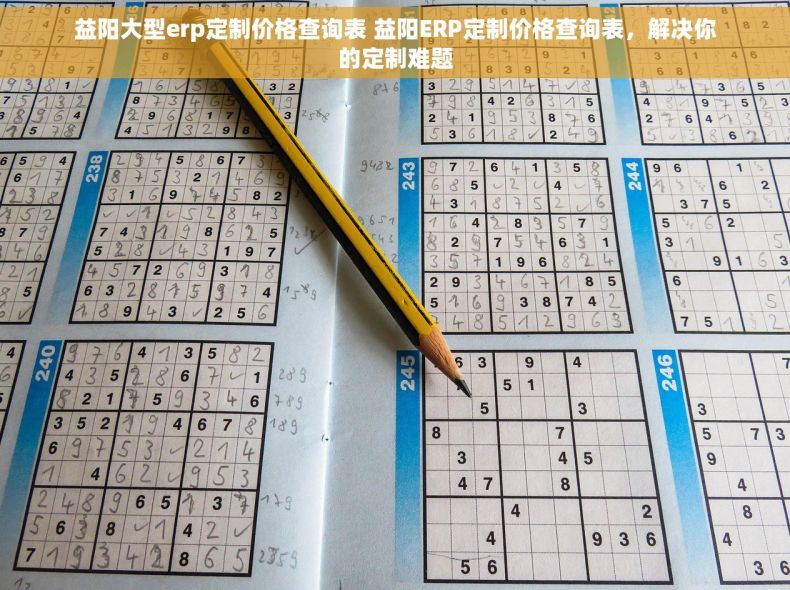 益阳大型erp定制价格查询表 益阳ERP定制价格查询表，解决你的定制难题