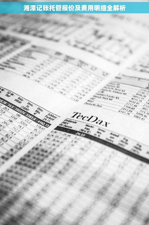 湘潭记账托管报价及费用明细全解析