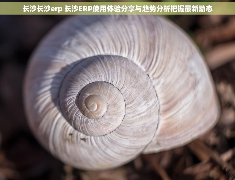 长沙长沙erp 长沙ERP使用体验分享与趋势分析把握最新动态