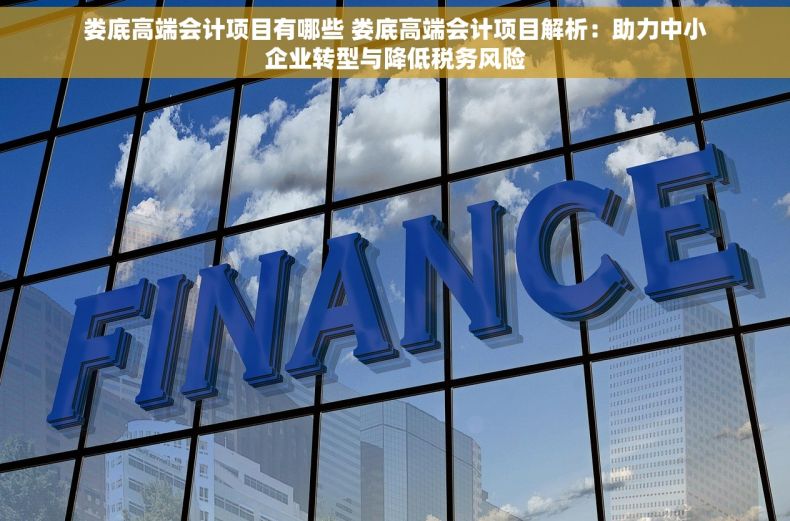 娄底高端会计项目有哪些 娄底高端会计项目解析：助力中小企业转型与降低税务风险