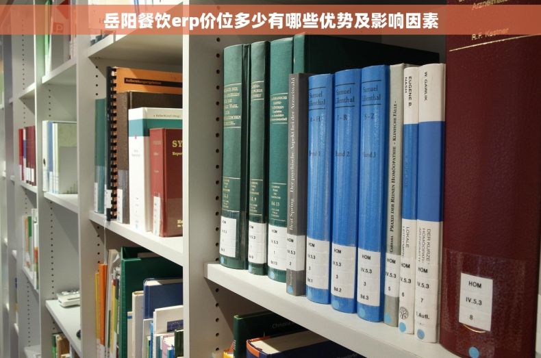 岳阳餐饮erp价位多少有哪些优势及影响因素