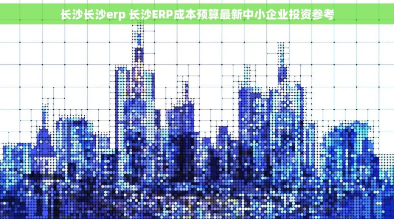 长沙长沙erp 长沙ERP成本预算最新中小企业投资参考