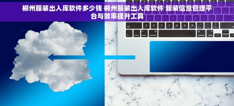 郴州服装出入库软件多少钱 郴州服装出入库软件 服装信息管理平台与效率提升工具