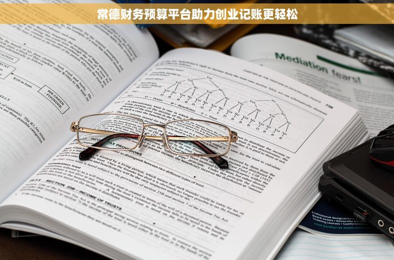 常德财务预算平台助力创业记账更轻松