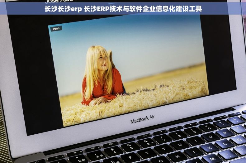 长沙长沙erp 长沙ERP技术与软件企业信息化建设工具