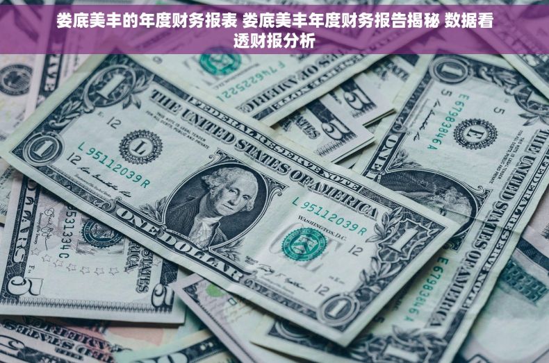 娄底美丰的年度财务报表 娄底美丰年度财务报告揭秘 数据看透财报分析